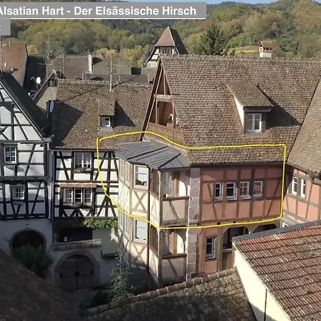 Apartment Remparts De - Le Grand Cerf